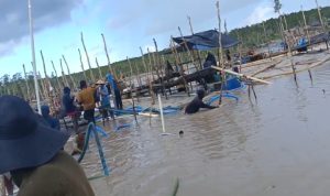 IMG_20240428_171924