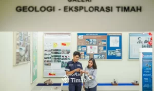 67aee72c4102e