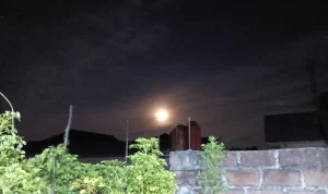 IMG20250712201020